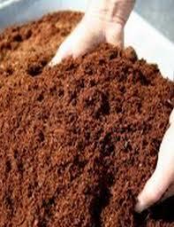 Eco-Friendly High Grade Cocopeat Powder (Seived)