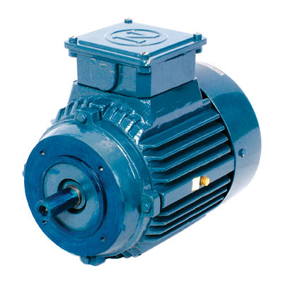 Excellent Performance Three Phase Motor