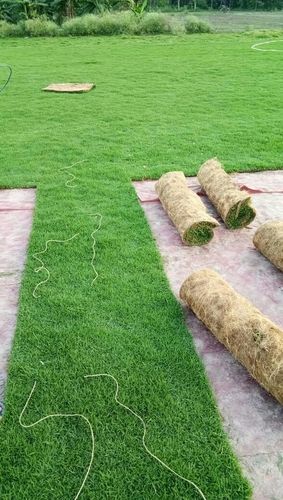 Green Natural Grass Mat