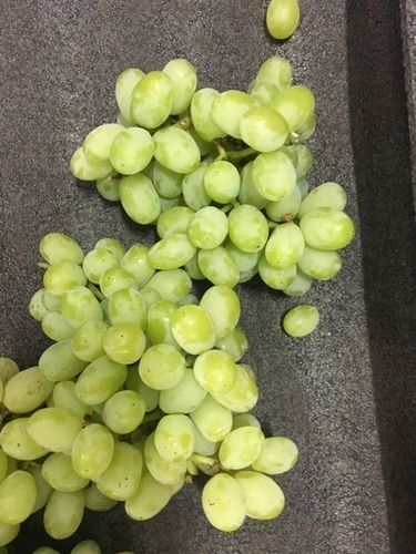 Low Price And Fresh Thomson Grapes