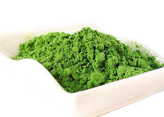 barley grass powder