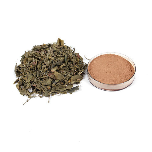 Gingko Biloba and Leaf Extract