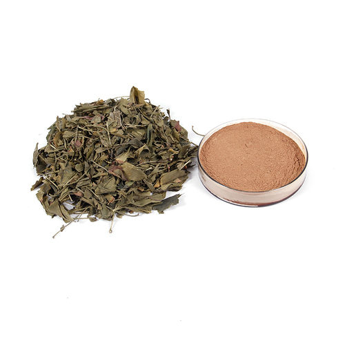 Herbal Product Gingko Biloba And Leaf Extract