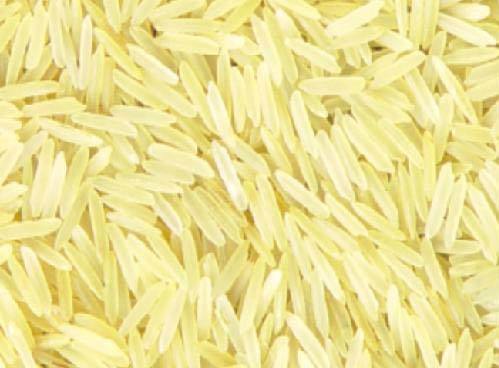 1121 Golden Sella Rice (31)