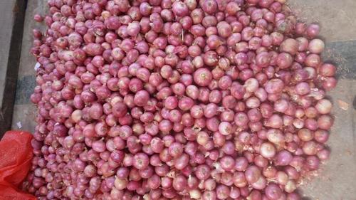 Fresh Red Onion