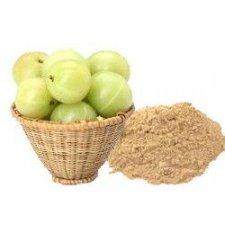 High Grade Amla Powder