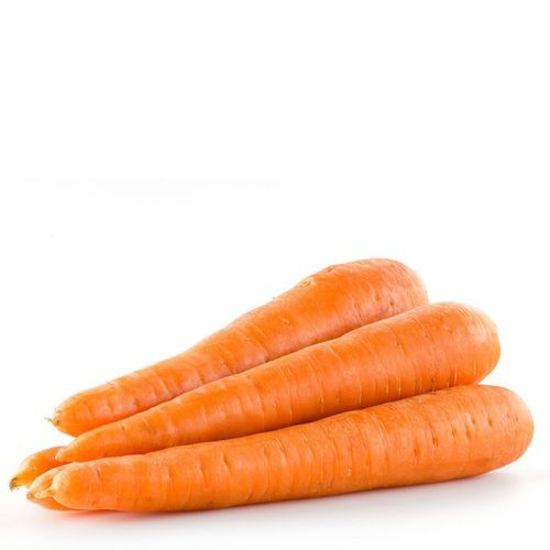 Long Size Fresh Carrot