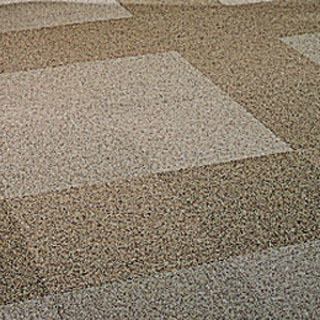 Classy Look Bcf Carpet Dry Place