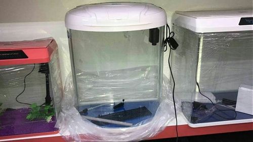 Exclusive Aquarium Fish Tank
