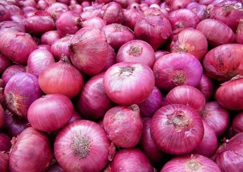 Fresh And Hygenic Red Onions