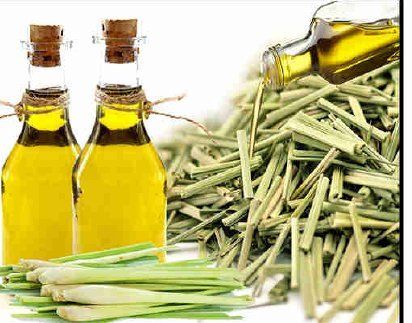 Fresh Natural Lemongrass Oil