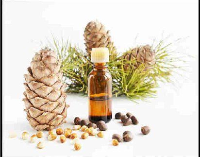 Fresh Natural Pine Oil