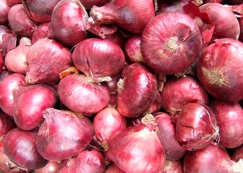 Organic Fresh Red Onion