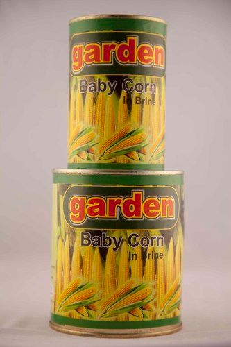 Canned Baby Corn In Brine