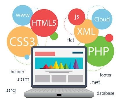 Customized Web Designing Services