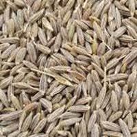 Pure Quality Cumin Seed