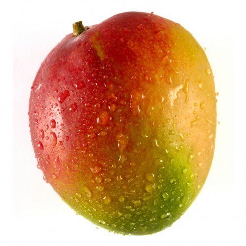 Fresh Yellow Mangoes - Fruits