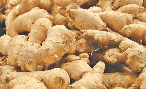 Best Quality Fresh Ginger