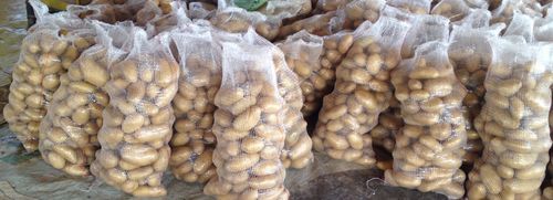 Fresh And High Grade Potatoes