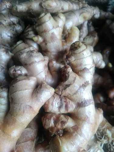 Fresh Ginger - Vegetales