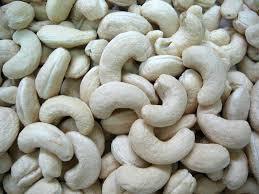 Fresh Raw Cashew Nut 