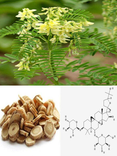 Natural Astragaloside IV 0.3%-98%, CAS No.: 84687-43-4,Astragalus Root Extract, TCM Extract