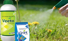 Organic Agricultural Insecticide