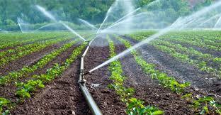 Best Irrigation Systems