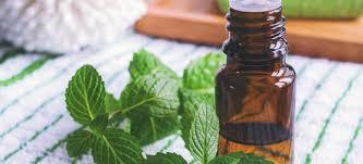 Best Quality Peppermint Oils