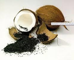 Coconut Shell Activated Carbon