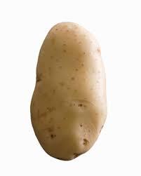 High Quality Fresh Potato