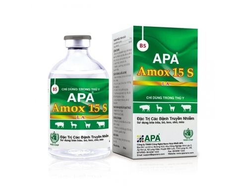 Apa Amox 15s