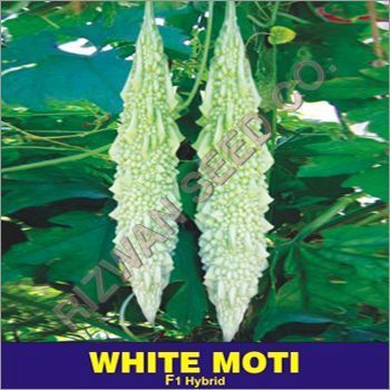 Hybrid Bitter Gourd Seed F1 - White Moti