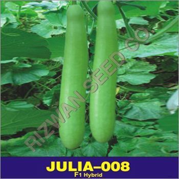 Hybrid Bottle Gourd Seed F1 Julia - 008