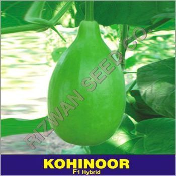 Hybrid Bottle Gourd Seed F1 -Kohinoor