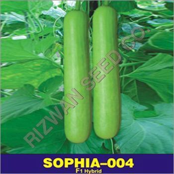 Hybrid Bottle Gourd Seed F1-Sophia 004