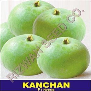 Hybrid Tinda Seeds F1- Kanchan