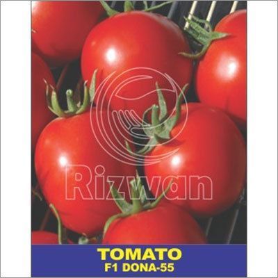 Tomato Seeds F1 - Dona no 55