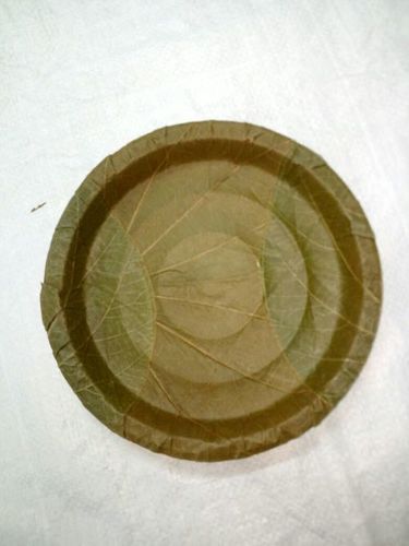 Natural 10" Disposable Leaf Plates