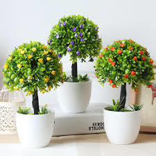 Decorative and Flowering Plants