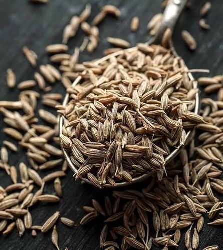 Organic Cumin Seed (Jeera)