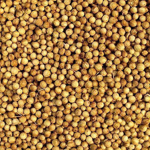 Fresh Taste Coriander Seed