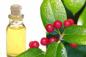 High Grade Wintergreen Oil