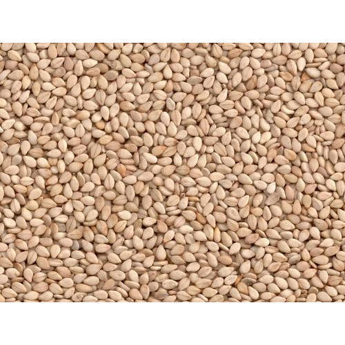 Natural Pure Sesame Seed