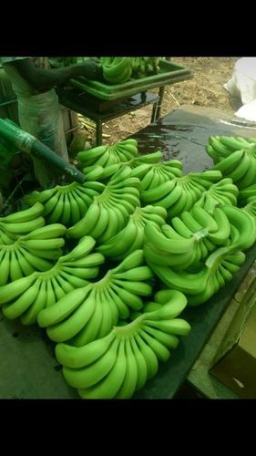 Fresh Sweet Green Banana