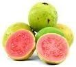 Guava Pulp White/Pink