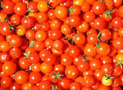 High Grade Cherry Tomatoes