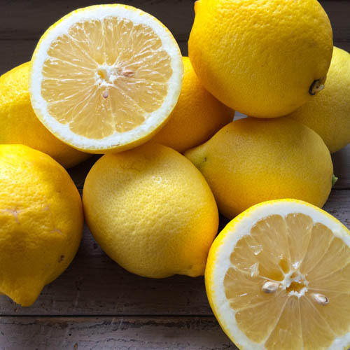 Low Price Fresh Organic Lemon