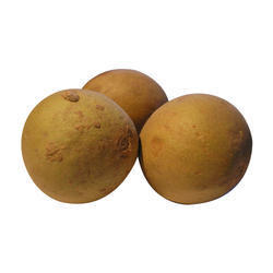 Organic Sweet Sapota Fruit