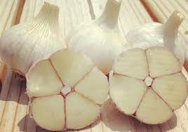 White Garlic 